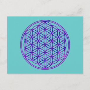Blume des Lebens / Blume des Lebens   Rosa blau Postkarte