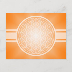 Blume des Lebens / Blume des Lebens - weißes Trans Postkarte