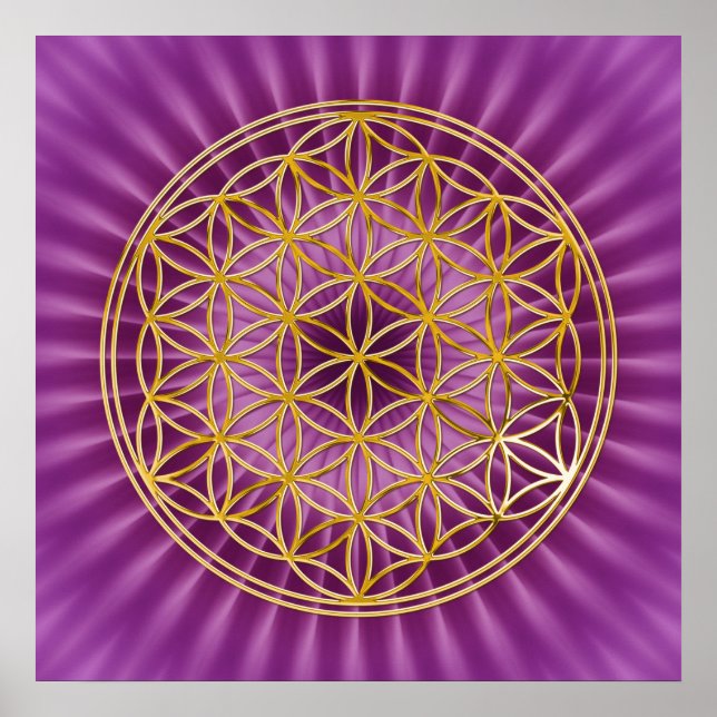 Blume des Lebens | Gold, Magenta-Glanz Poster (Vorne)