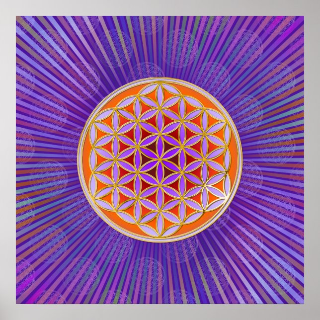Blume des Lebens - Knopfviolett Poster (Vorne)
