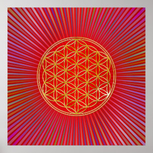 Blume des Lebens / Lebensgefühl - Gold Poster