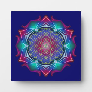 BLUME DES LEBENS / Lebensgefühl - Mandala IV Fotoplatte