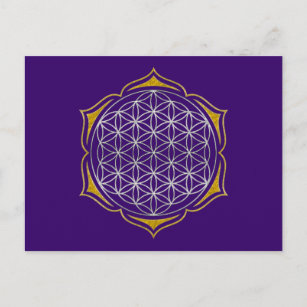 Blume des Lebens - Lotus silver Postkarte