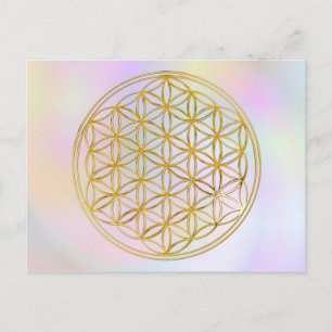 Blume des Lebens   Wiestipastell Postkarte