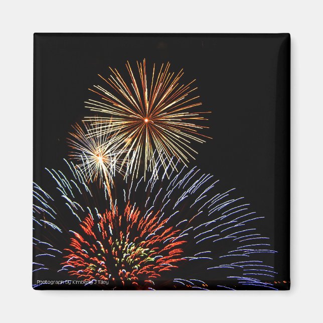 Blume des Lichtmagazins Magnet (Vorne)