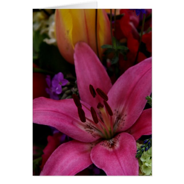 Blume des Marktes I (Vorne)