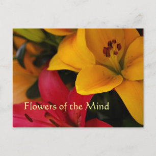 Blume des Marktes II Postkarte