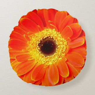 Blume des orange Gänseblümchens rundes Throwkissen Kissen