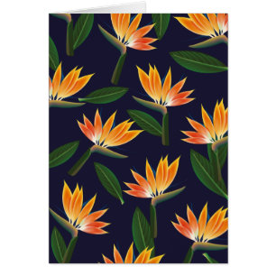 Blume des Paradieses