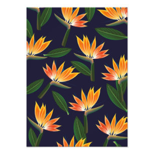 Blume des Paradieses Fotodruck