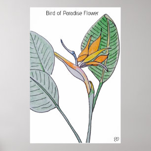 Blume des Paradieses Poster