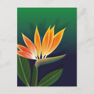Blume des Paradieses Postkarte