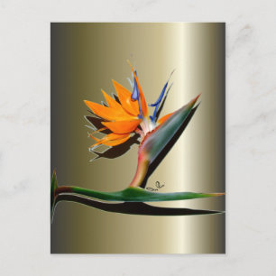 Blume des Paradieses Postkarte