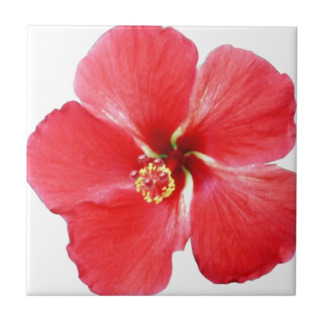 Blume des Roten Hawaiianischen Hibiskus Fliese (Vorderseite)