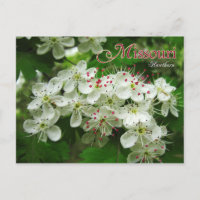 Blume des Staat Missouri: Hawthorn