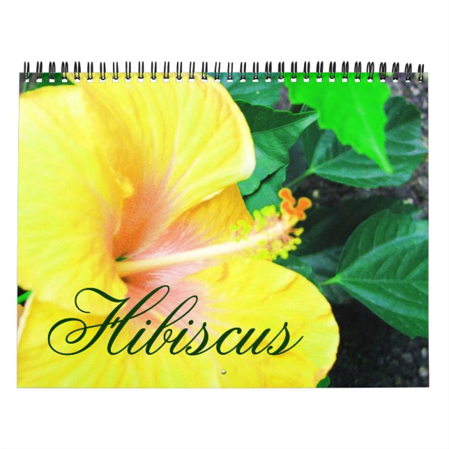 Blume des tropischen Hibiskus Kalender (Titelbild)