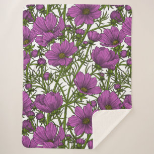 Blume des violetten Kosmos Sherpadecke