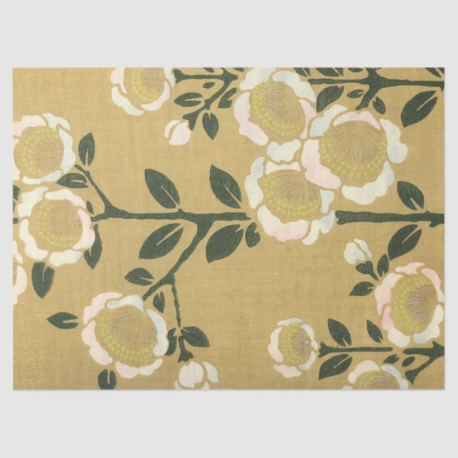 Blume des weißen Anemons Seidenpapier (Vorderseite)