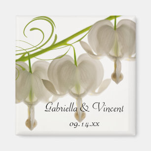 Blume des weißen BlutHerzens Hochzeit Magnet