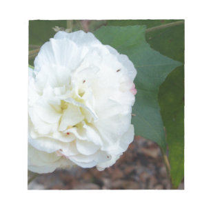 Blume des weißen Hibiskus Notizblock