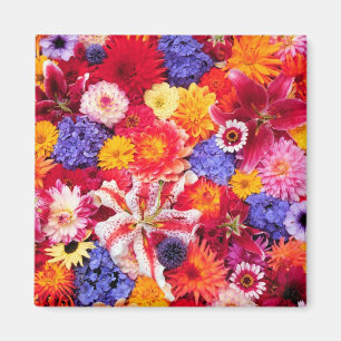 Blume Design von Dalhia, Oriental Lilies, Magnet