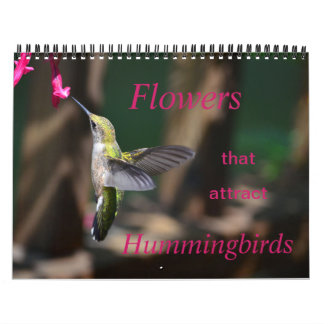 Blume, die Hummingbirds Calendar anziehen Kalender