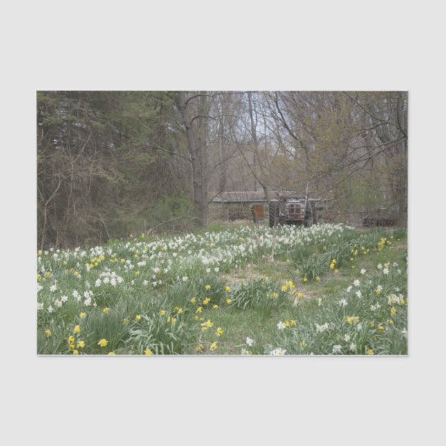 Blume "Dilapidated Farm Gebäude" Seidenpapier (Vorderseite)