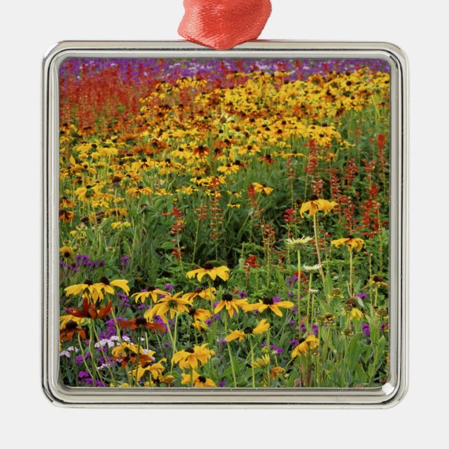 Blume-Display in den internationalen Friedensgärte Silbernes Ornament (Vorne)