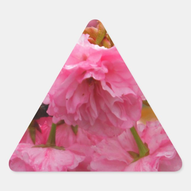 Blume Dreieckiger Aufkleber (Vorderseite)