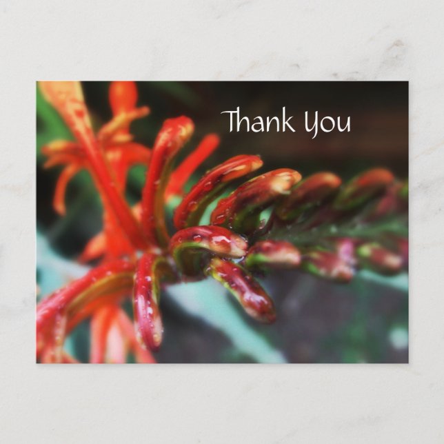 Blume-Dusche Postkarte (Vorderseite)