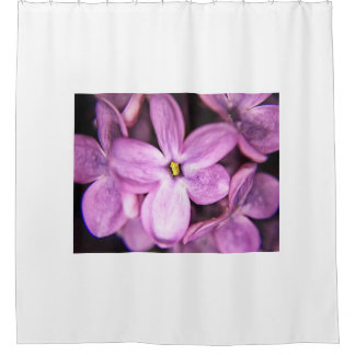 Blume Duschvorhang
