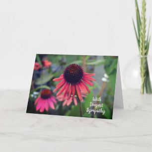 Blume Echinacea mit Beileid Karte