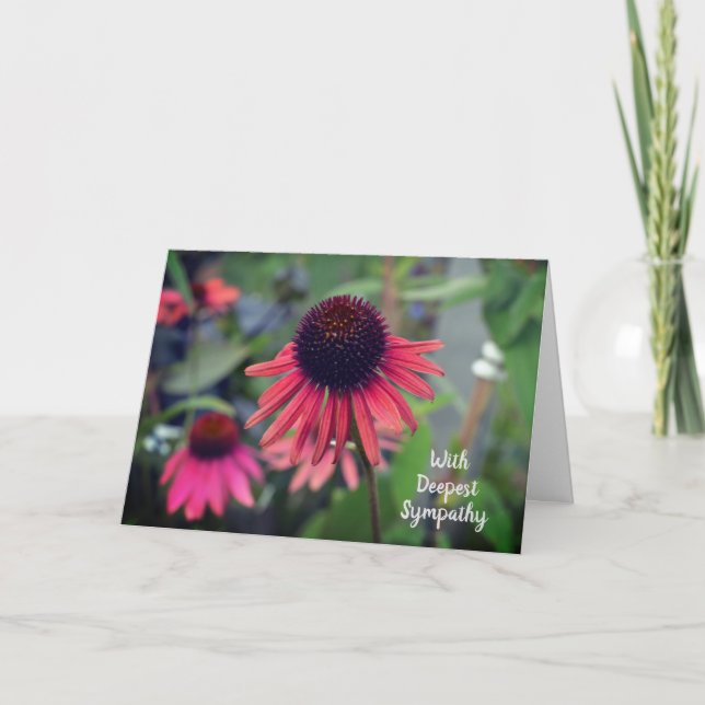 Blume Echinacea mit Beileid Karte (Vorderseite)