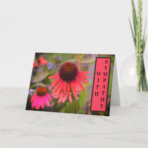 Blume Echinacea mit Beileid Karte