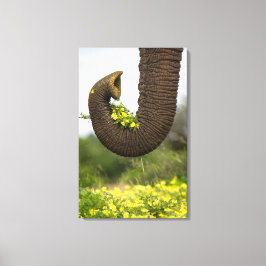 Blume eines Riesen Leinwanddruck