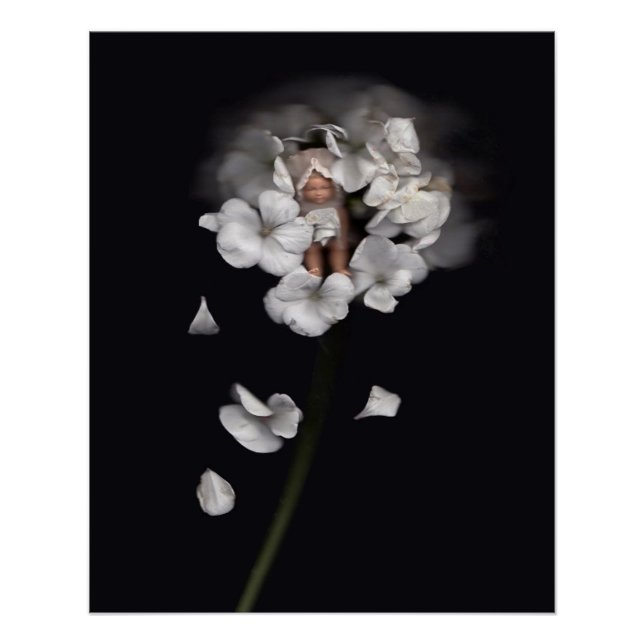 Blume Fairies 1 Poster (Vorderseite)