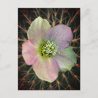 Blume feiertagspostkarte