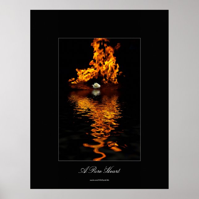 Blume "Fire & White Rose" Romantisches Poster (Vorne)