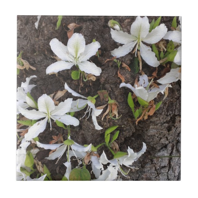 Blume Fliese (Vorderseite)