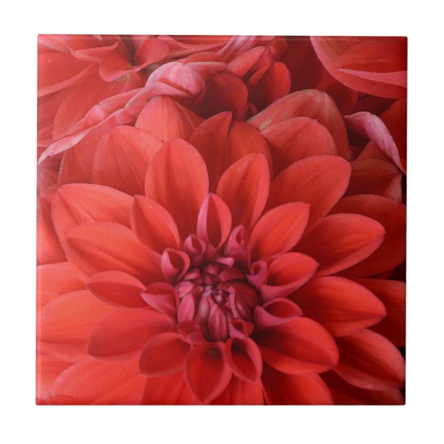 Blume Fliese (Vorderseite)