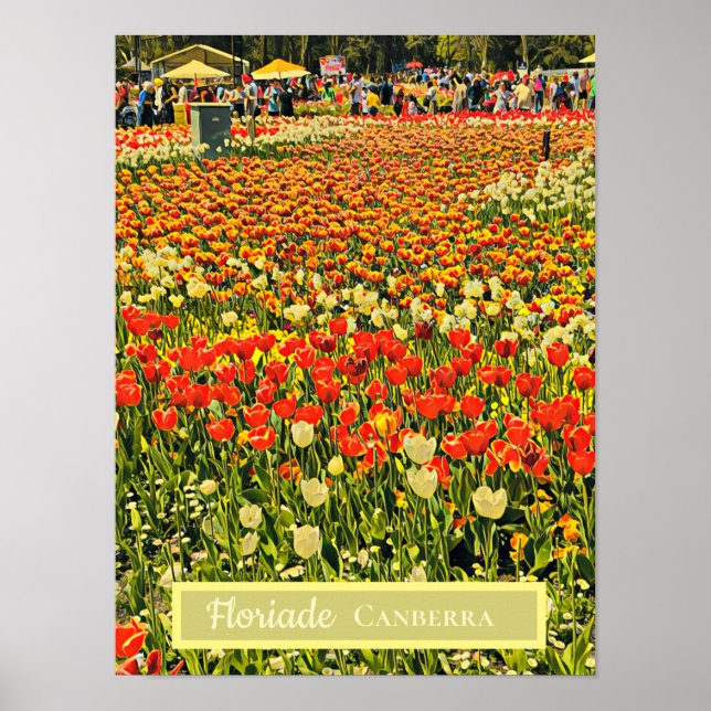 Blume Floriade Canberra Poster (Vorne)