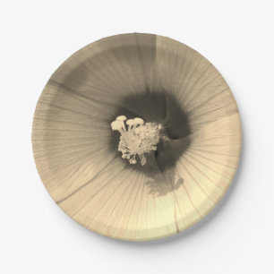 Blume Foto Custom Paper Teller 7 in