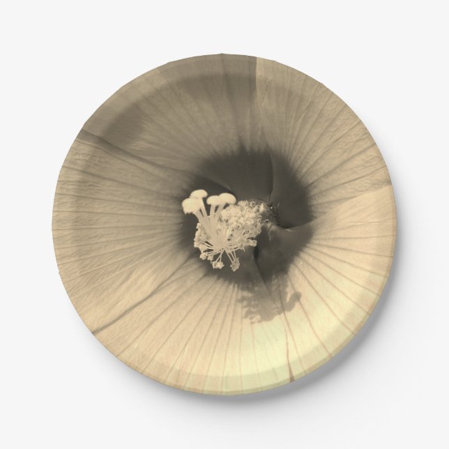 Blume Foto Custom Paper Teller 7 in (Vorderseite)