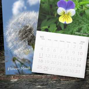 Blume Foto Kalender