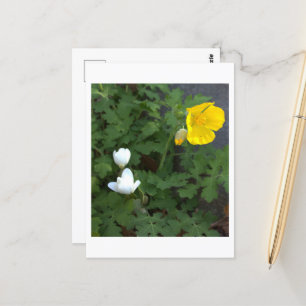 Blume Foto Postkarte