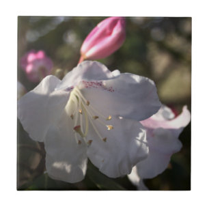 Blume Foto Tile Fliese