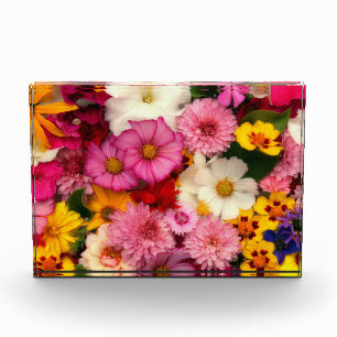 Blume Fotoblock