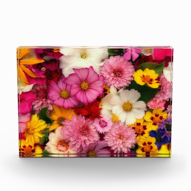 Blume Fotoblock (Vorderseite)