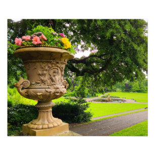 Blume Fotodruck