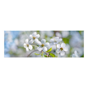 Blume Fotodruck